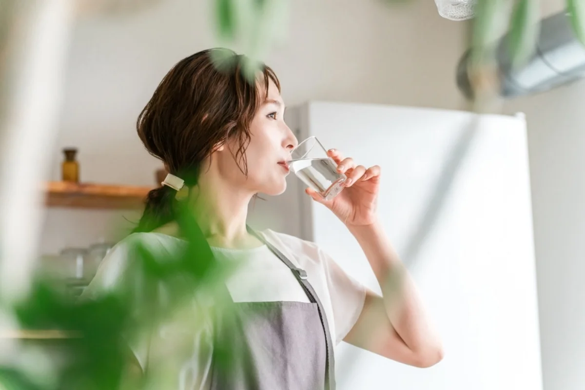 batch_shutterstock_2677585391 batch_shutterstock_2677585391