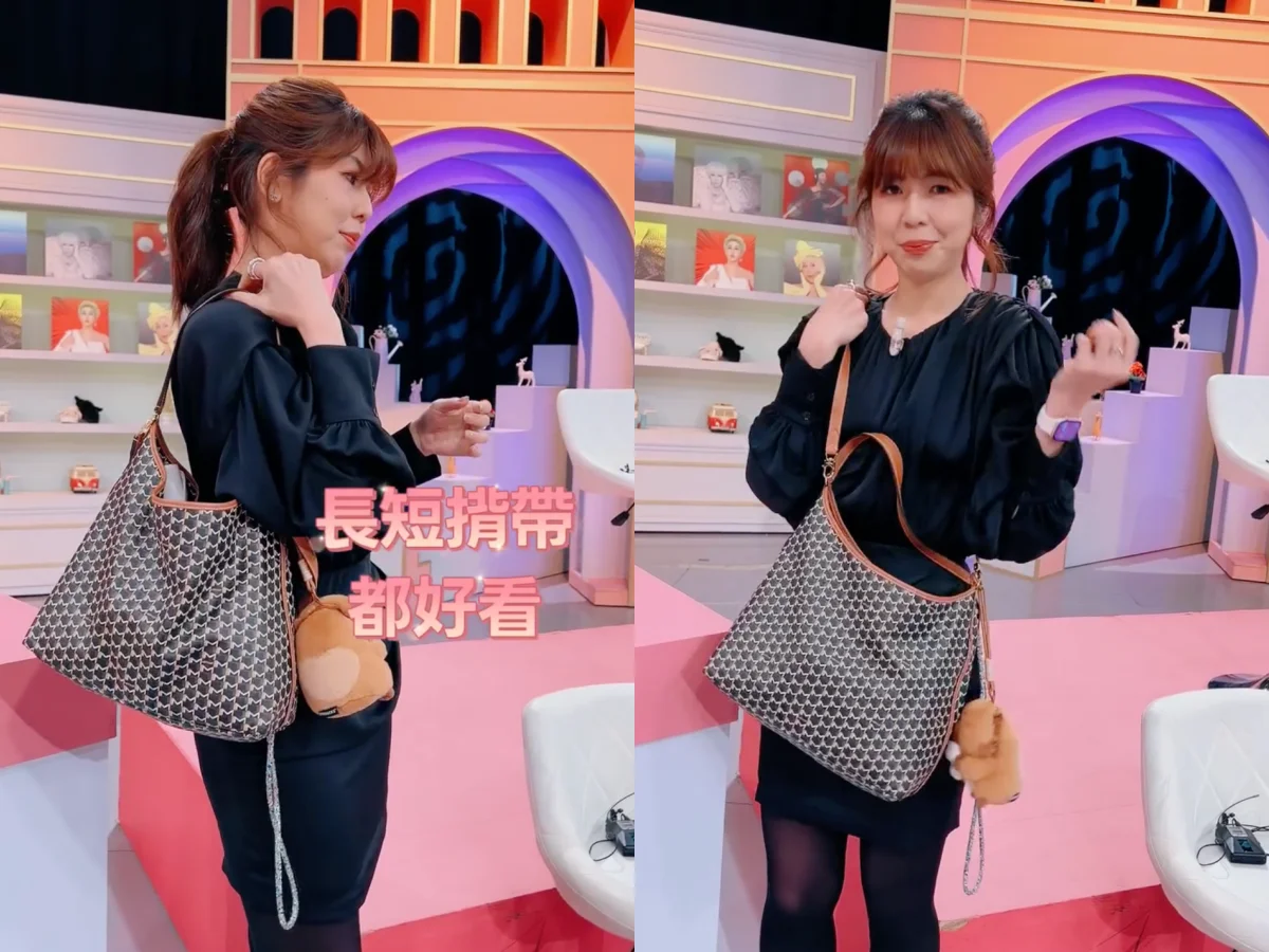 李怡貞開箱MOYNAT HOBO BAG