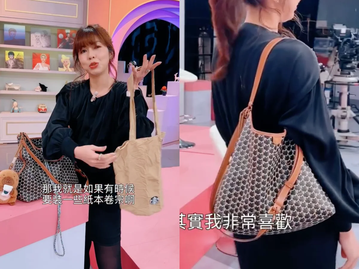 李怡貞開箱MOYNAT HOBO BAG
