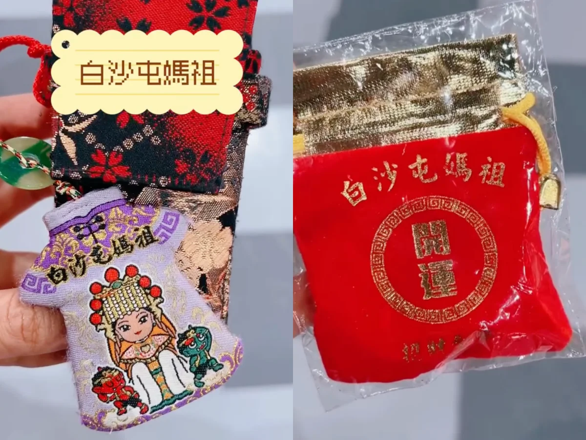 李怡貞開箱MOYNAT HOBO BAG
