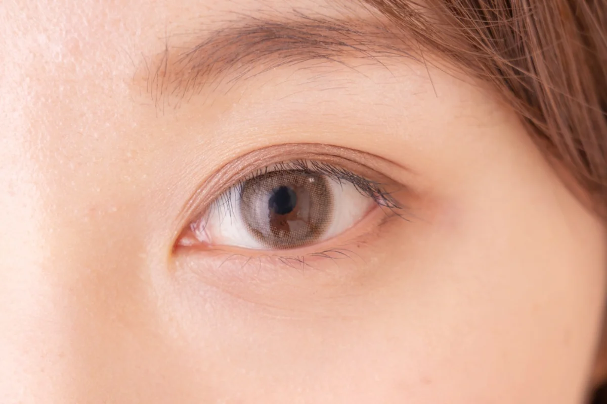batch_shutterstock_1926618266 batch_shutterstock_1926618266