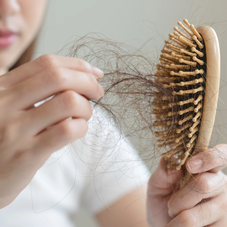 shutterstock_2736673341