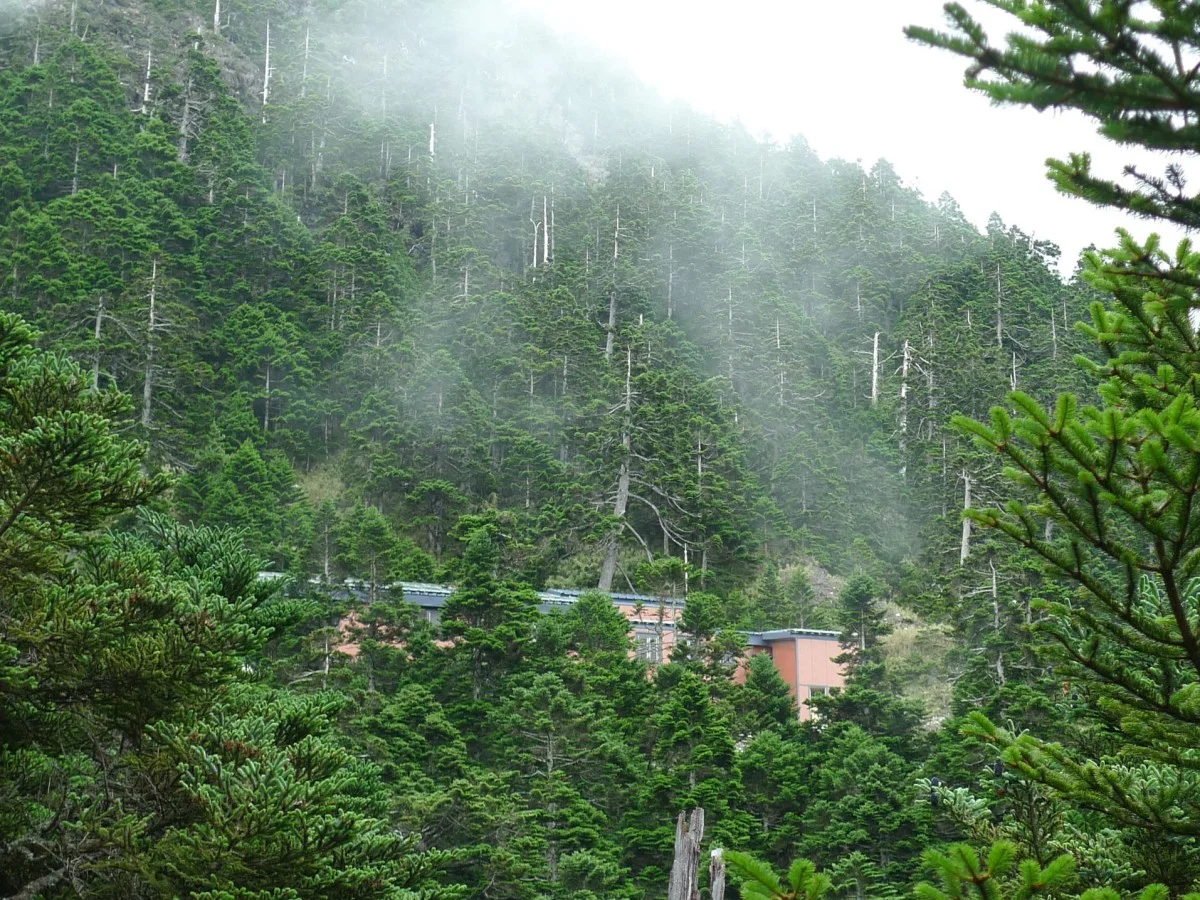 排雲山莊徵才 排雲山莊徵才