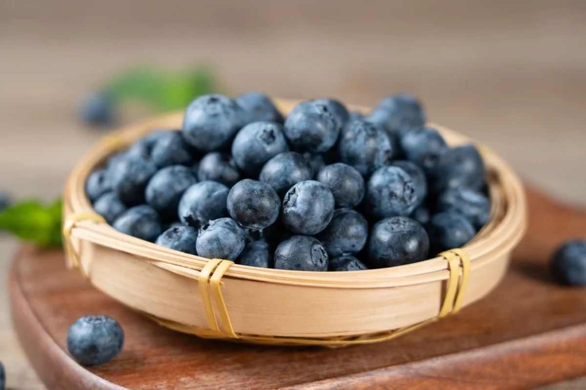 batch_shutterstock_2626637691