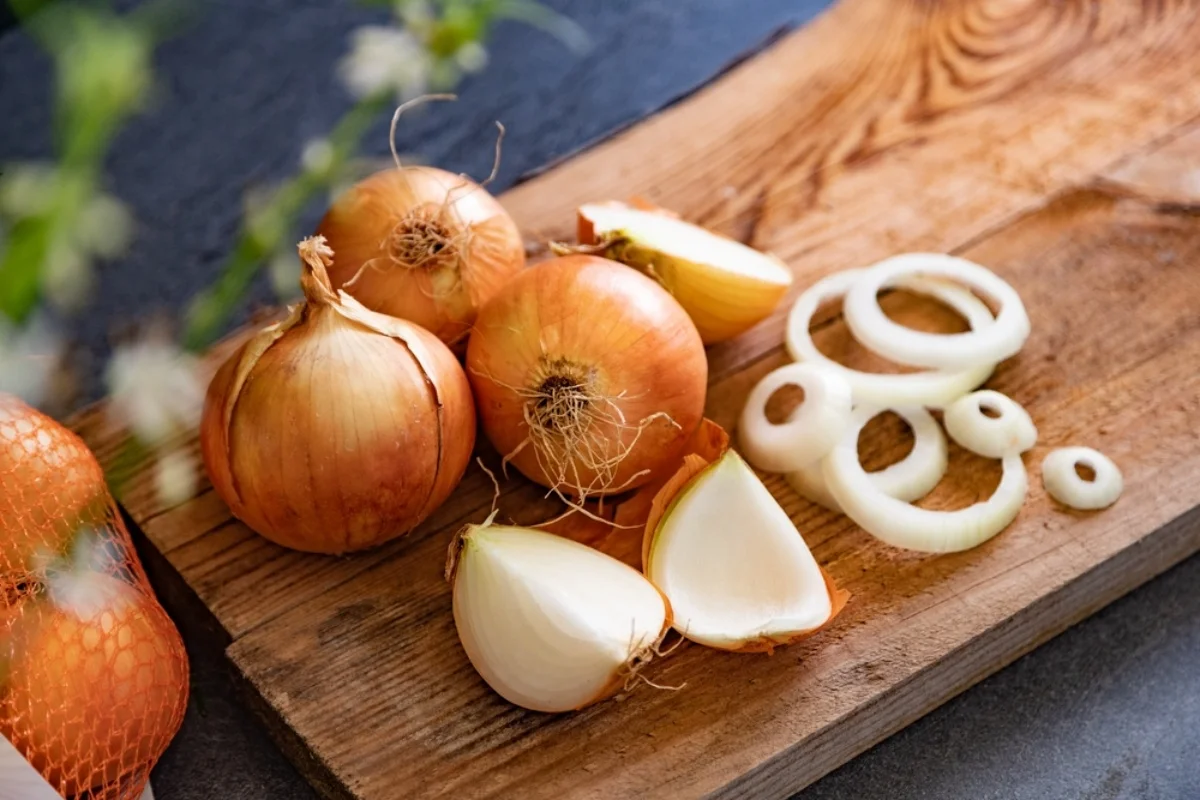 batch_shutterstock_2461372265
