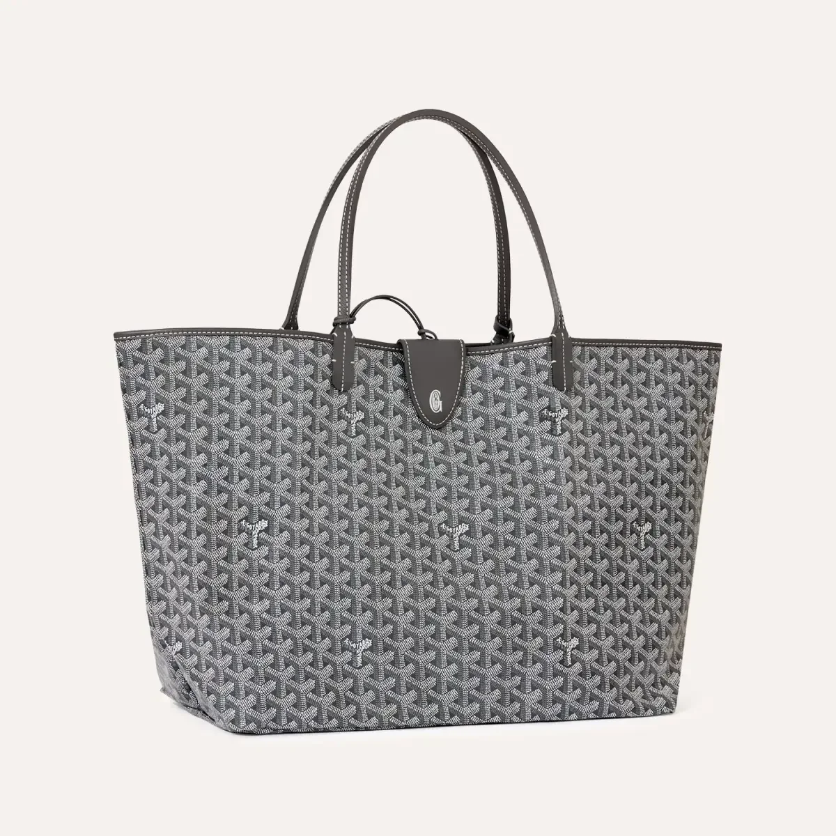 劉德華老婆朱麗蒨背GOYARD 穿ON