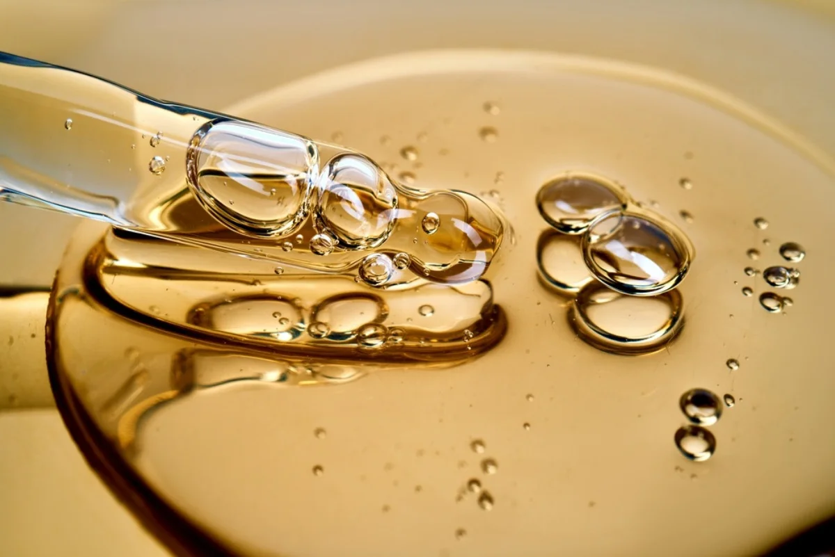 batch_shutterstock_2761186343 batch_shutterstock_2761186343