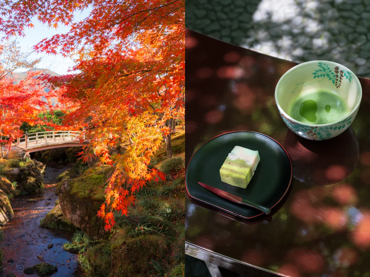箱根賞楓再添新去處！箱根美術館換新登場，10/30預開幕、12/23正式開幕