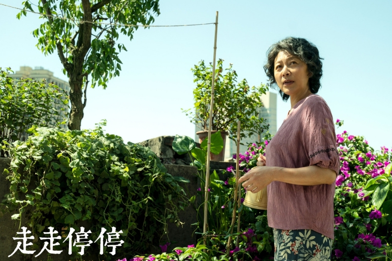 根本陸版《有生之年》!胡歌新片男神變魯蛇，電影《走走停停》有感金句微博爆論
