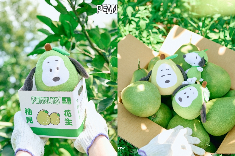 太可愛!威秀影城推出中秋限量戴柚帽史努比商品超級萌,8/30中午開賣