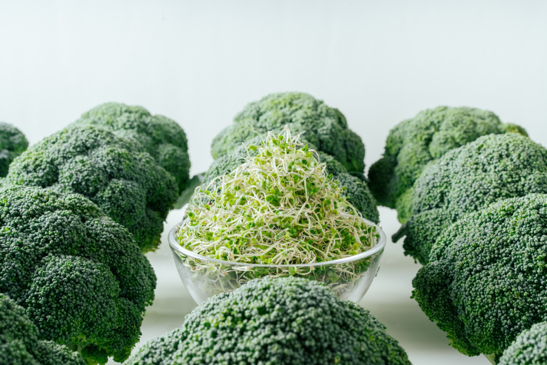世界首次發現!「青花椰苗」蘊含「超硫黃分子」 比花椰菜、洋蔥、大蒜更強的抗癌蔬菜「青花椰苗」!日本掀起搶購風潮