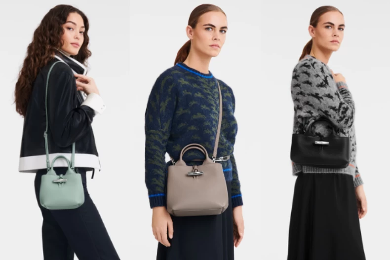 Longchamp「Le Roseau手提包」尺寸怎麼選?