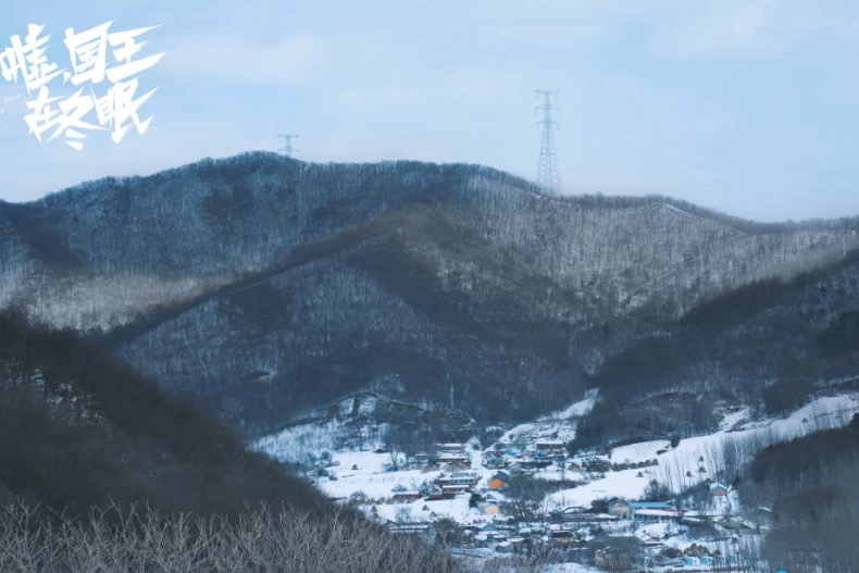 《噓,國王在冬眠》劇情亮點6.多個滑雪場實景拍攝