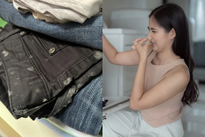 衣服發霉怎麼洗？3種實用清潔法＋快乾晾衣技巧，專家曝：帽T「這樣曬」才能全乾