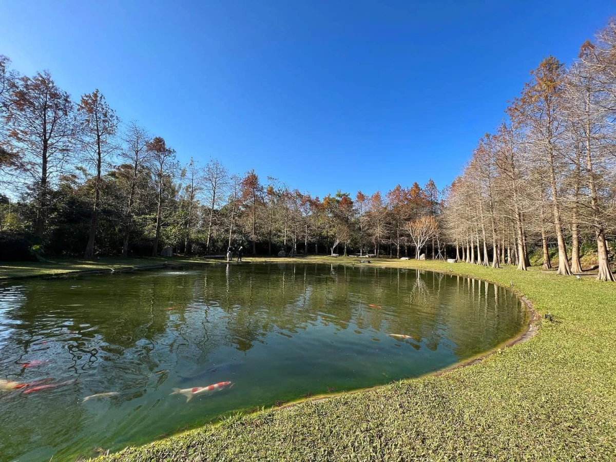 全台56家景觀餐廳懶人包:北中南必去浪漫約會景點、打卡美照夜景餐廳總整理