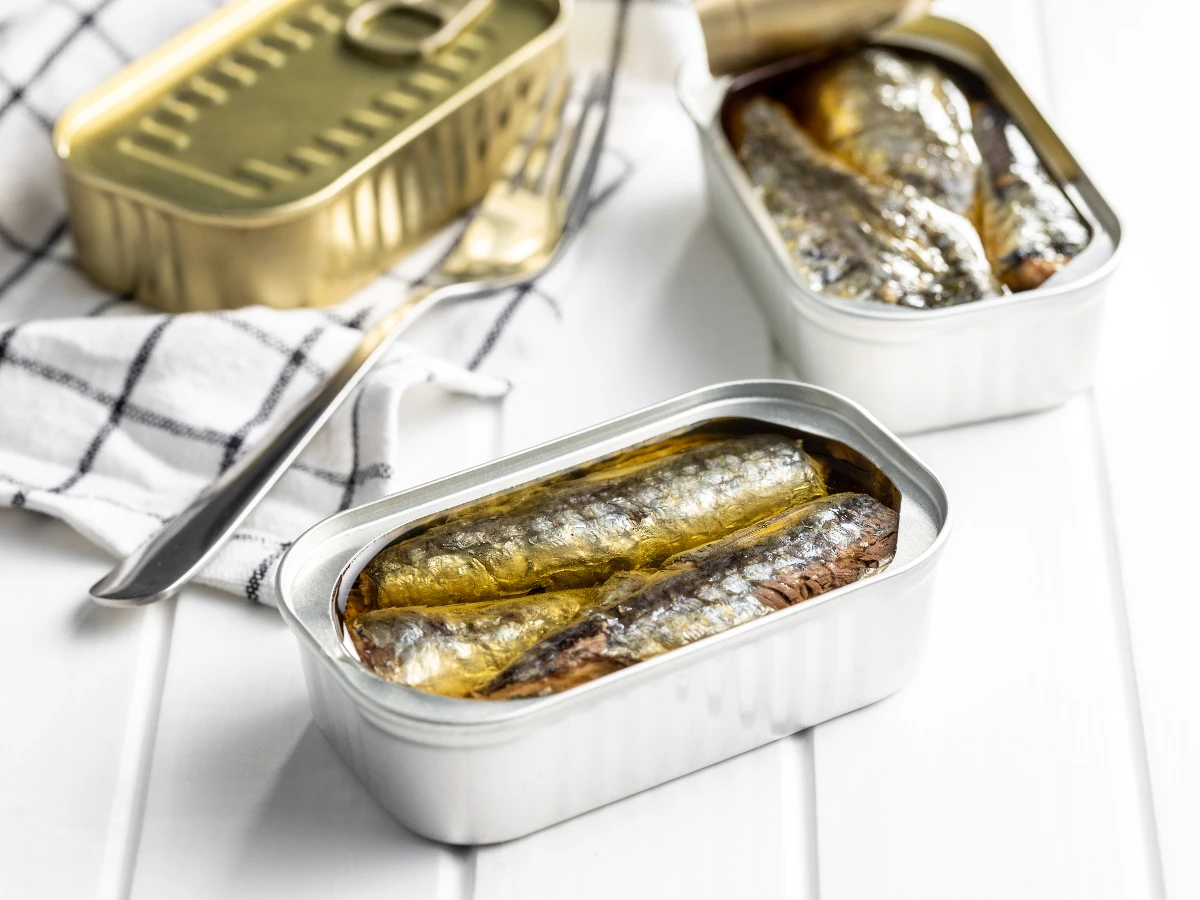 沙丁魚