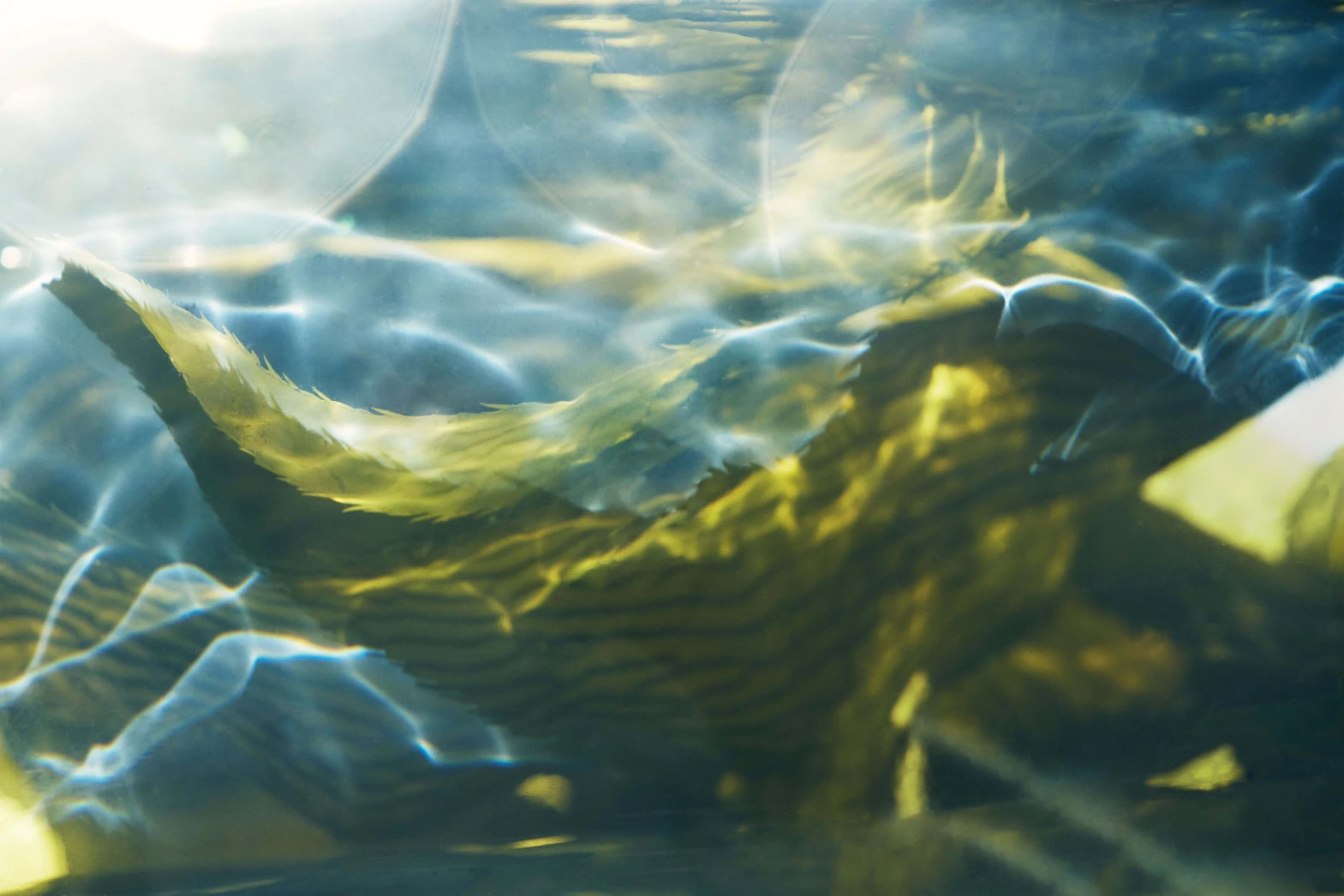 LA MER