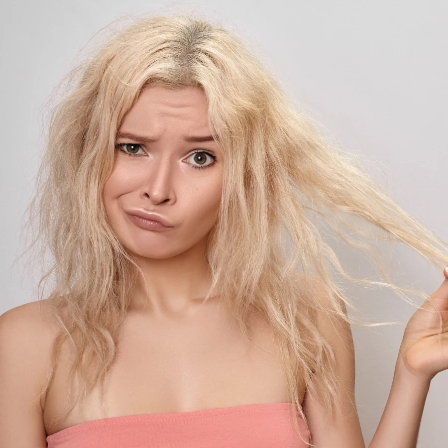 shutterstock_2082791569