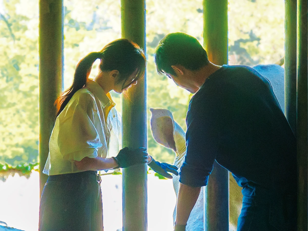 2.《動物園》