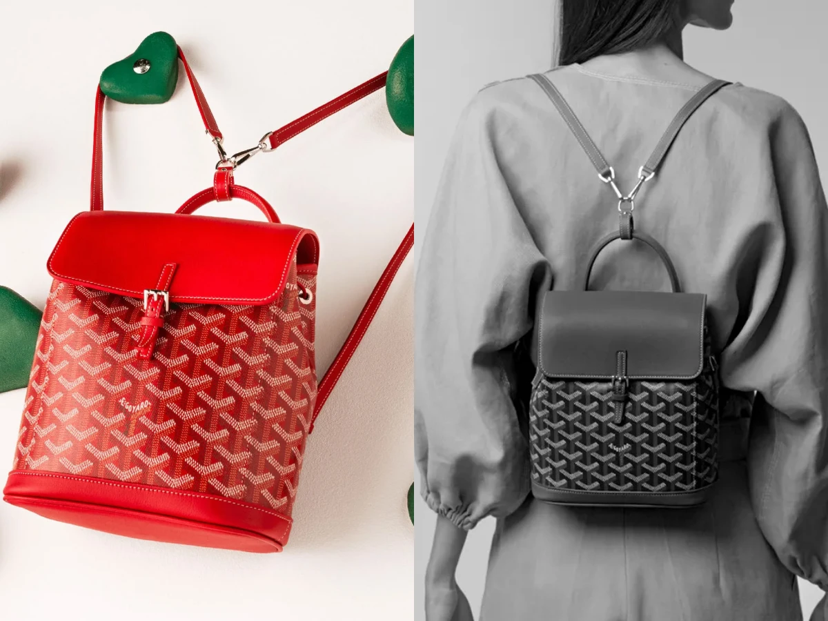 許瑋甯揹Goyard