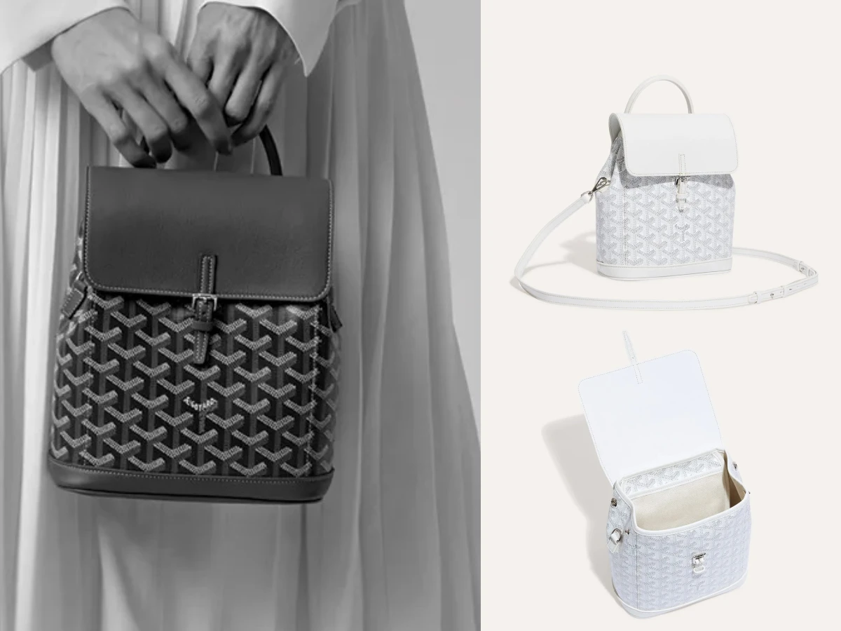 許瑋甯揹Goyard