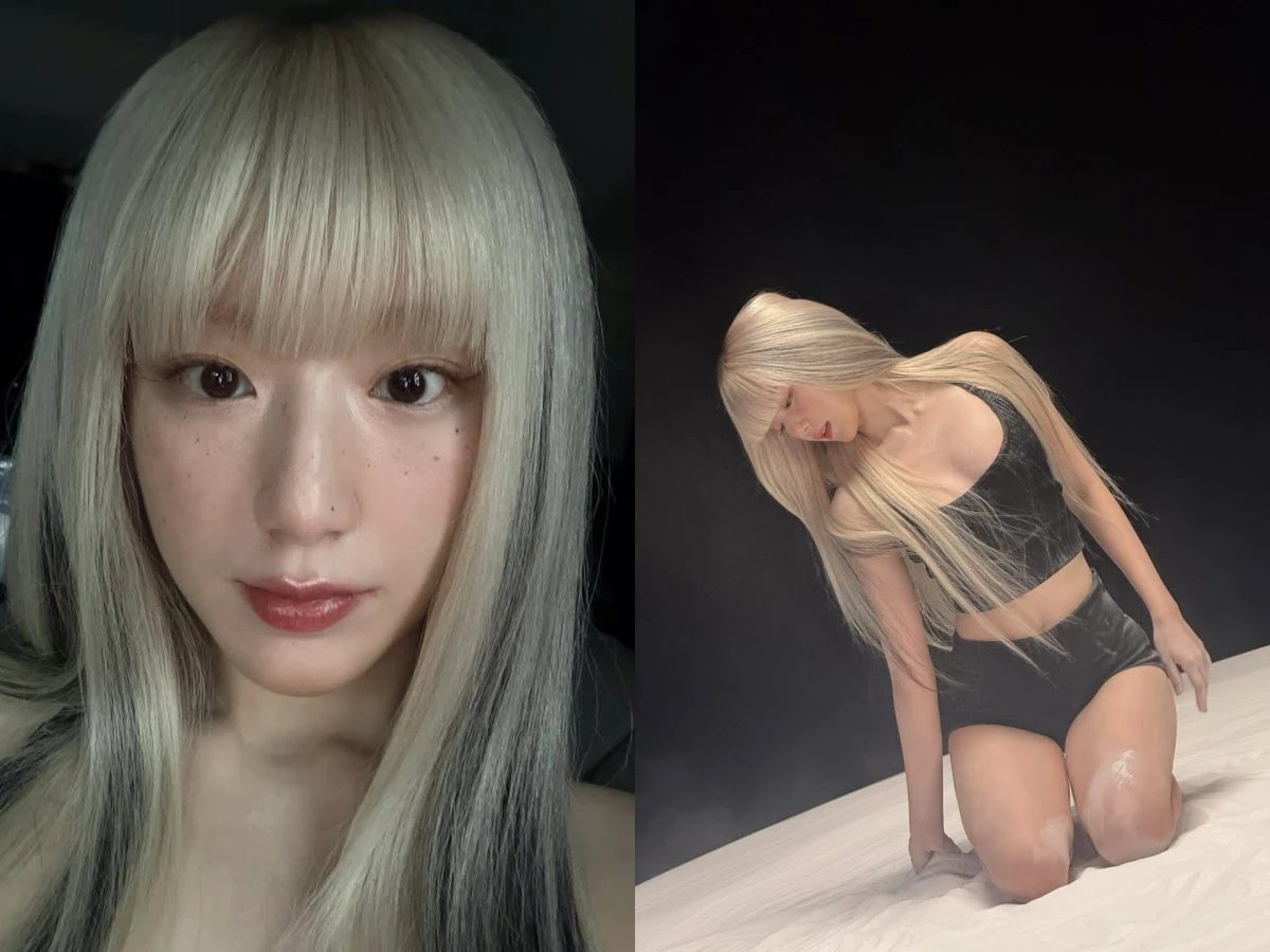 collage2