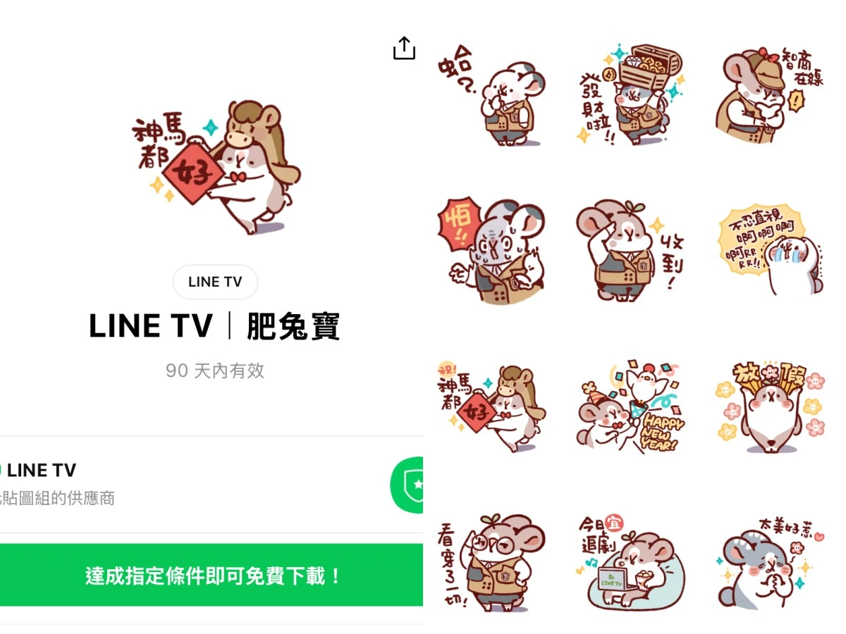 肥兔寶