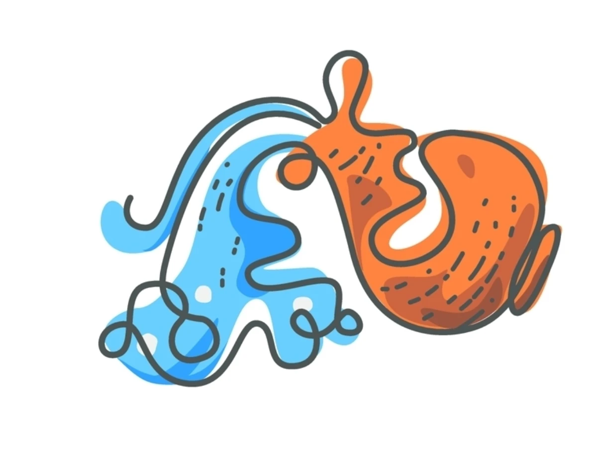 水瓶座｜財富與價值發光