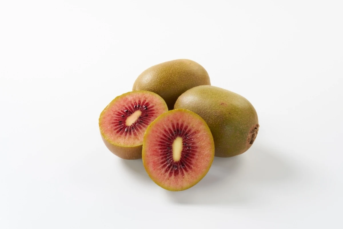 batch_shutterstock_2448608171 batch_shutterstock_2448608171