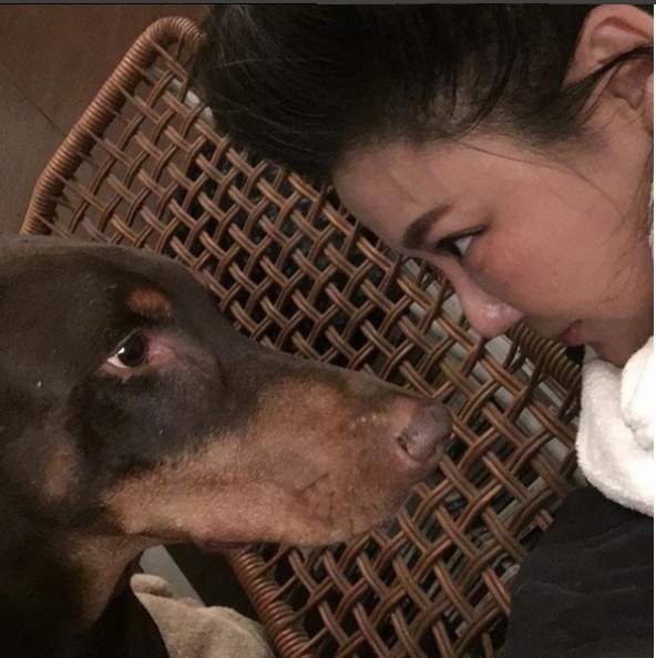 曾被愛犬狠咬破相縫針！愛狗成痴的藍心湄這樣處理被讚爆