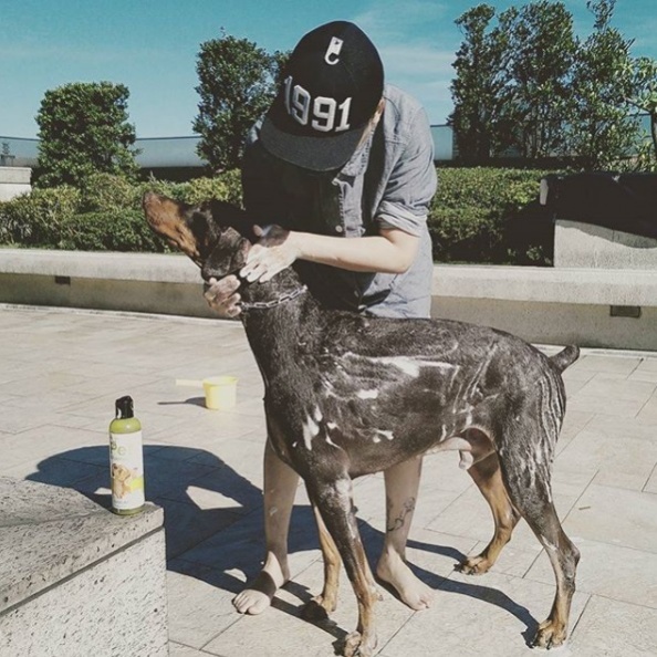 曾被愛犬狠咬破相縫針！愛狗成痴的藍心湄這樣處理被讚爆