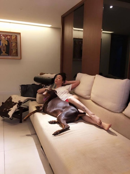 曾被愛犬狠咬破相縫針！愛狗成痴的藍心湄這樣處理被讚爆