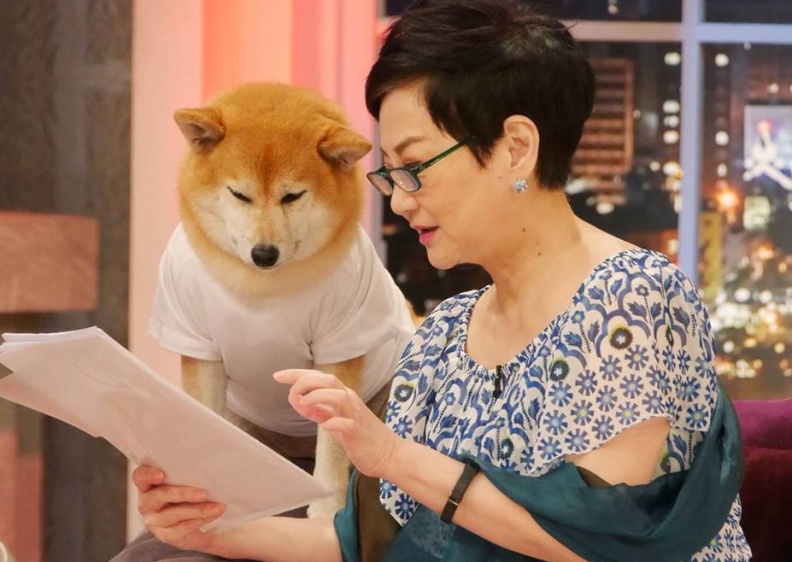 從小燕姐身上，看女人30歲到50歲最該學的5件事