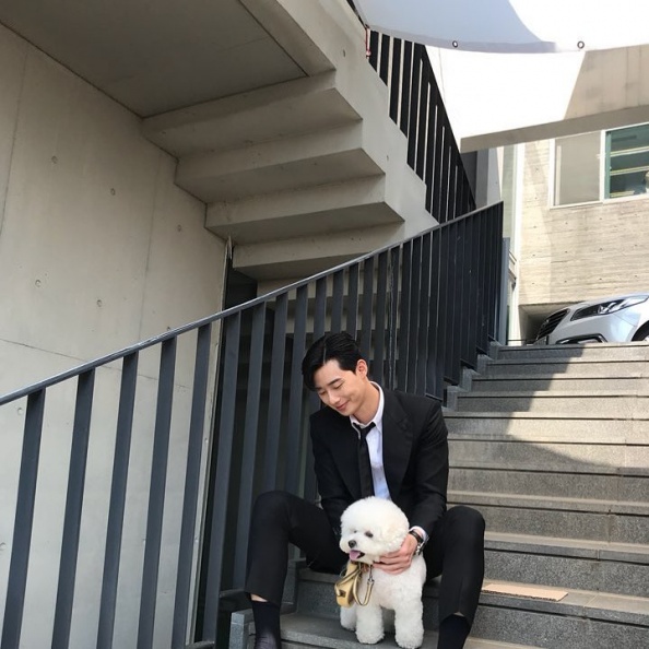 霸氣副會長反差萌！朴敘俊會做菜、愛搞笑、厚實肩膀盤點十大魅力認識霸道總裁...