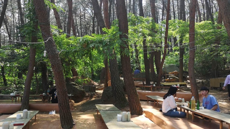 釜山人才知道的秘境！CP值超高煎餅店，一口煎餅一口馬格利酒，超級滿足