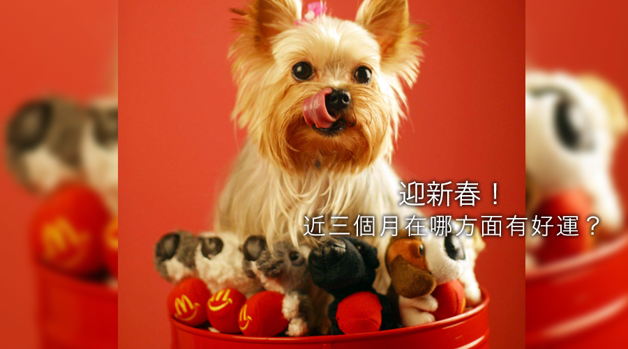 塔羅占卜：迎新春！近三個月我會在哪方面有好運？
