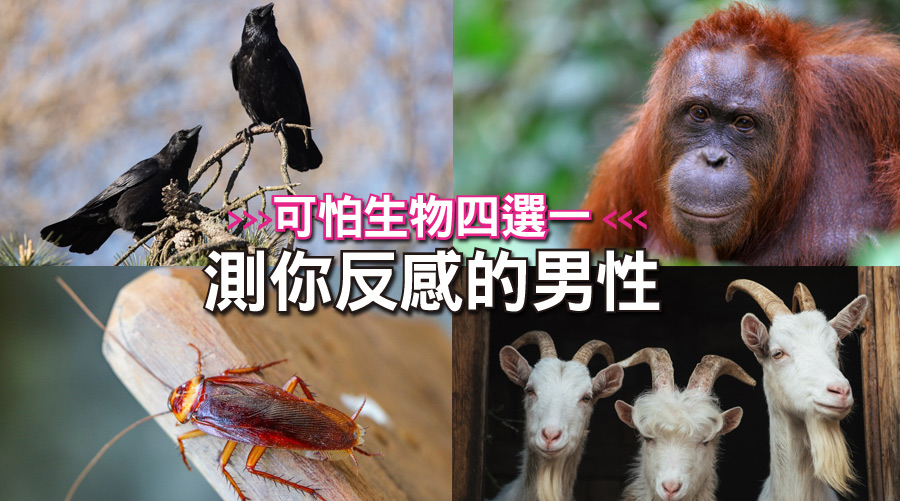 【神準】可怕生物四選一!馬上測出你超反感的男性類型