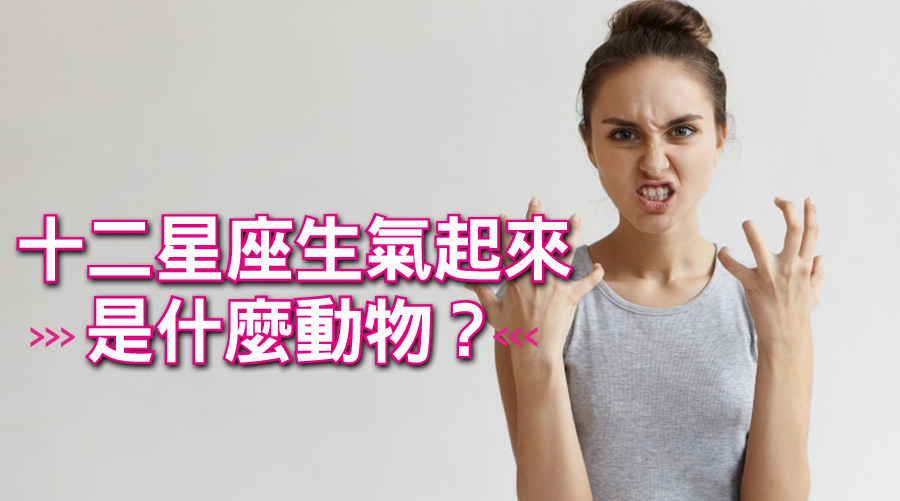 十二星座生氣起來是什麼動物？金牛座像糞金龜！巨蟹生氣起來跟刺蝟一樣...