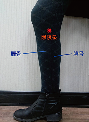 陰陵泉-01 - 陰陵泉-01.png 會胖都是「便秘」惹的禍!3穴道按下去直接怒瘦