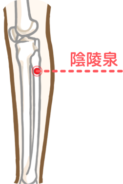 區分便秘 3 類型 陰陵泉 - 區分便秘 3 類型_陰陵泉.png 會胖都是「便秘」惹的禍!3穴道按下去直接怒瘦