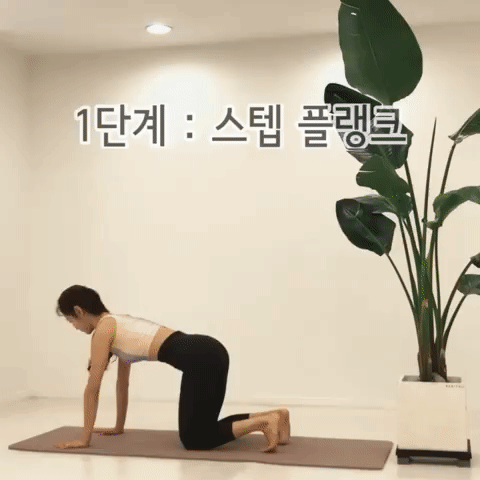 ezgif.com-video-to-gif (59) - ezgif.com-video-to-gif (59).gif 韓妞腹肌炸裂養成班!超強簡單核心運動訓練,這幾招瘦出馬甲線
