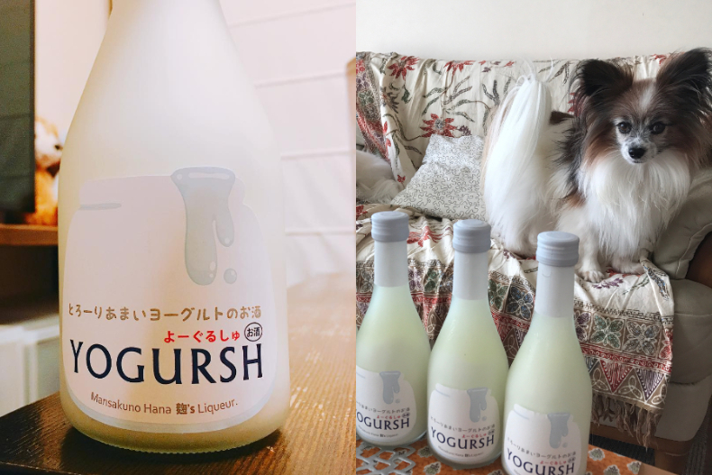下班揪閨蜜喝一杯！日本IG瘋優格酒，「夏天的酸甜微醺滋味」好療癒啊