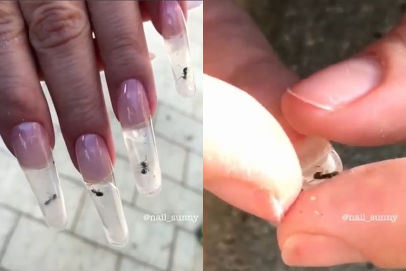 開殼牡蠣、烤麵包機、昆蟲通通放手上！美甲控必看4款「怪奇」款式