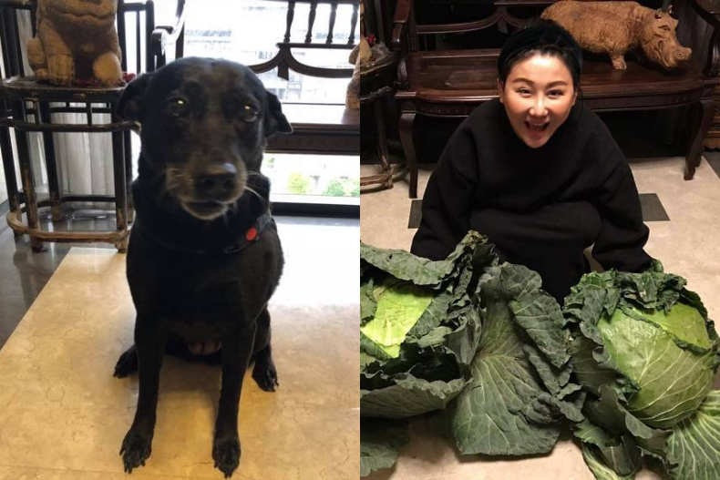 頸後刺青是古董圖騰！藍心湄：我最愛的收藏是明代家具，不是精品包