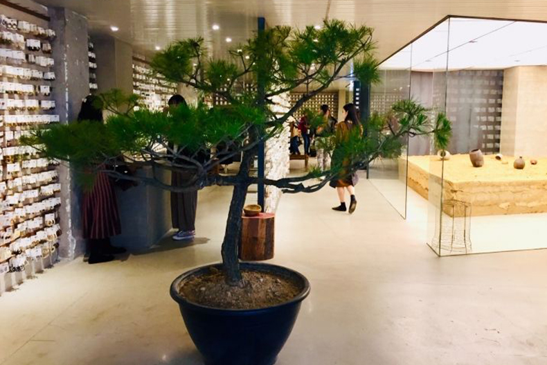 確定不是藝廊？2間首爾必踩點飾品店，韓系裝潢顛覆你的想像