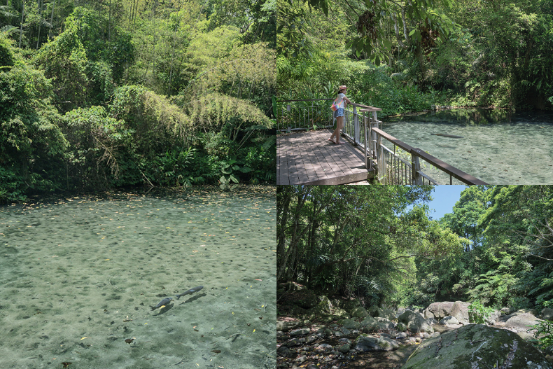 來去浪漫客庄旅遊！誰說苗栗不好玩？跟著達人深入自然風景、悠閒吃美食