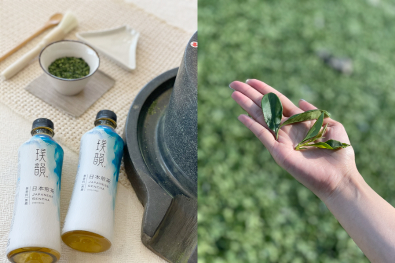什麼是最好喝的抹茶？ 3大「神秘關鍵」高下立判，京都正統「石臼慢磨」最高級