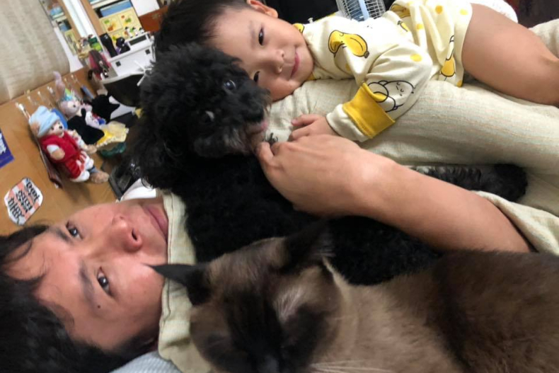 黃鐙輝愛貓「阿宅」鬧失蹤，靠「都市傳說」一招找回翹家喵！日網友試也超靈驗
