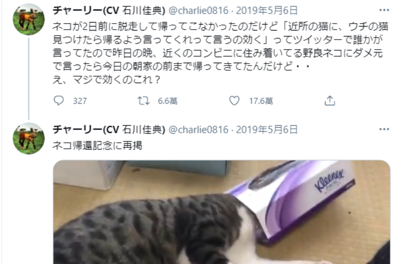 黃鐙輝愛貓「阿宅」鬧失蹤，靠「都市傳說」一招找回翹家喵！日網友試也超靈驗