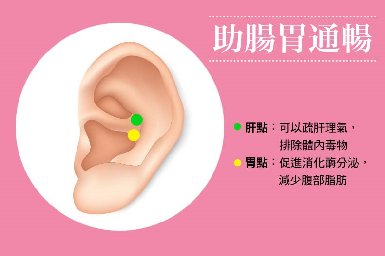史上最懶減肥法,3天有感!中醫師黃獻銘教你「耳朵瘦身穴道」,排濕消腫、降低食慾